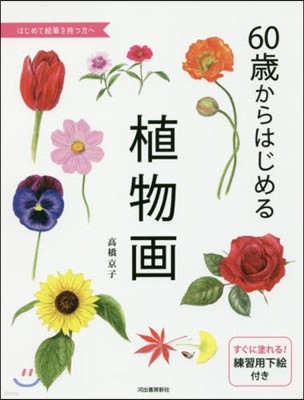 60歲からはじめる植物畵