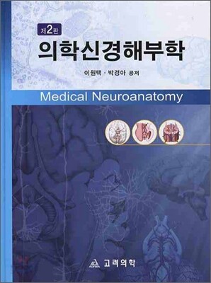 의학 신경해부학