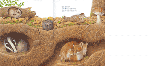 숲 속의 동물