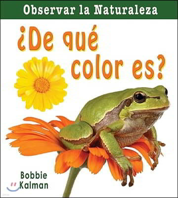 ¿De Que Color Es? (What Color Is It?)