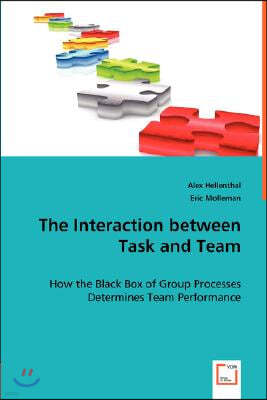 The Interaction between Task and Team