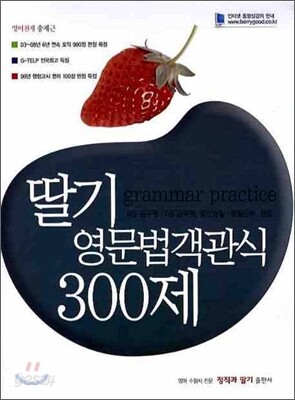 딸기 영문법 객관식 300제