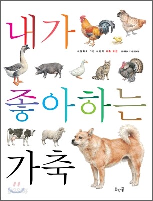 내가 좋아하는 가축