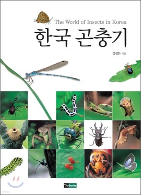 한국 곤충기
