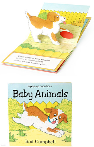 Baby Animals Pop-up Paperback