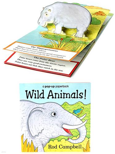 Wild Animals Pop-up Paperback