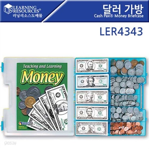 LER4343 달러가방