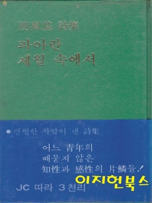 파아란 세월 속에서 - 민만기 시집 (세로글/양장)