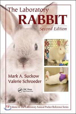 Laboratory Rabbit