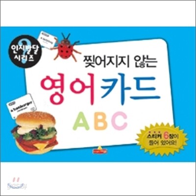 찢어지지 않는 영어 카드