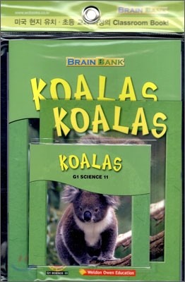 [Brain Bank] G1 Science 11 : Koalas