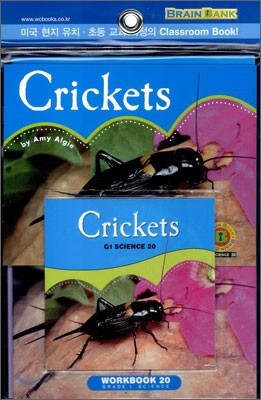 [Brain Bank] G1 Science 20 : Crickets