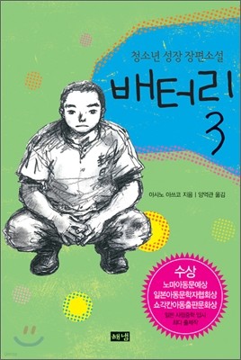 배터리 3