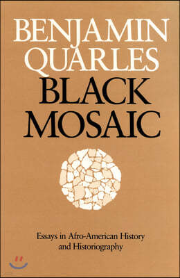 Black Mosaic: Essays in Afro-American History and Historiography