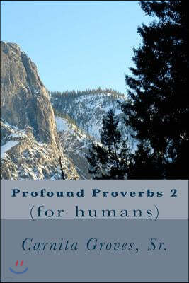 Profound Proverbs 2: (for Humans)