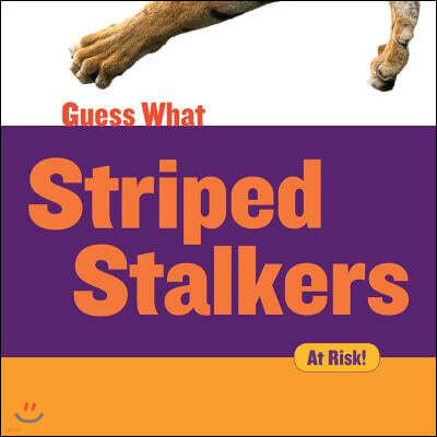 Cherry Lake Pub Striped Stalkers: Tiger