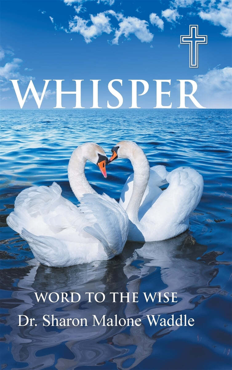 Whisper: Word to the Wise