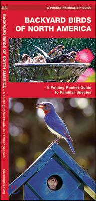 Backyard Birds of North America: A Folding Pocket Guide to Familiar Species