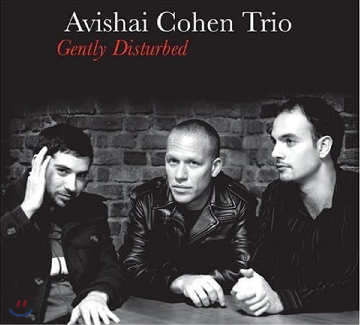 Avishai Cohen Trio (아비샤이 코헨 트리오) - Gently Disturbed