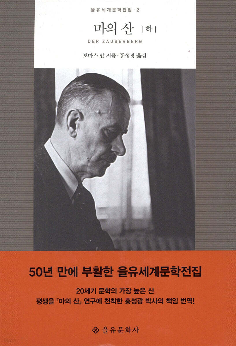 마의 산 (하)