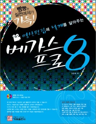 영상편집에 날개를 달아주는 베가스 프로 8