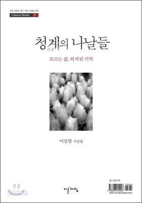 청계의 나날들