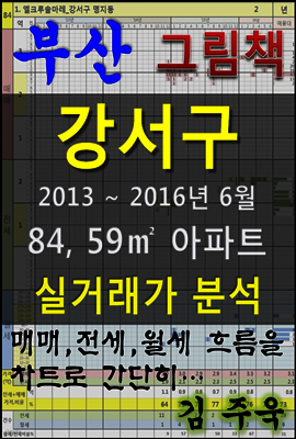 부산 강서구 84,59㎡ 아파트 매매, 전세, 월세 실거래가 분석 (2013 ~ 2016.6월)