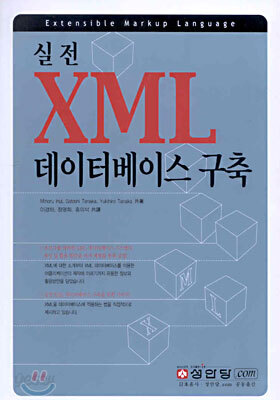 실전 XML 데이터베이스 구축