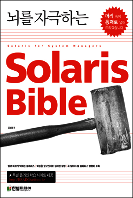 뇌를 자극하는 Solaris Bible