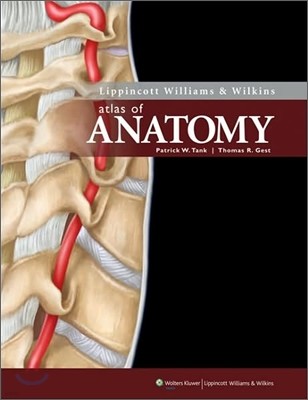 Lippincott Williams & Wilkins Atlas of Anatomy