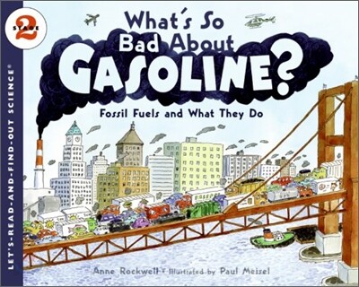 What's So Bad About Gasoline?