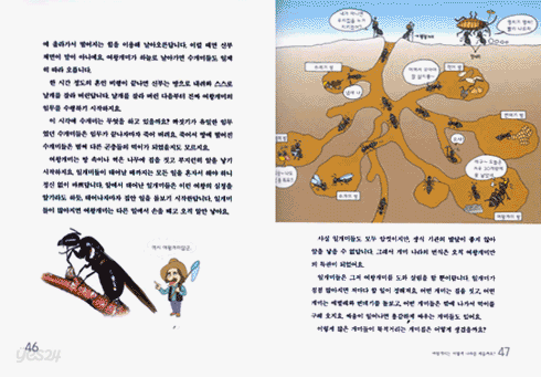 곤충이 궁금할 때 파브르에게 물어 봐