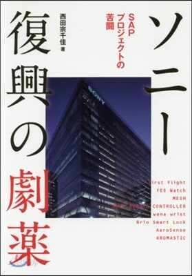 ソニ-復興の劇藥 SAPプロジェクトの苦
