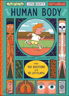 Human Body