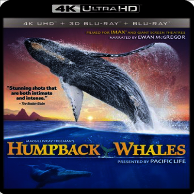 IMAX: Humpback Whales (IMAX: 혹등고래) (한글무자막)(4K Ultra HD + 3D Blu-ray + Blu-ray)