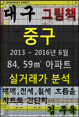 대구 중구 84,59㎡ 아파트 매매, 전세, 월세 실거래가 분석 (2013 ~ 2016.6월)