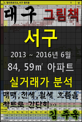 대구 서구 84,59㎡ 아파트 매매, 전세, 월세 실거래가 분석 (2013 ~ 2016.6월)