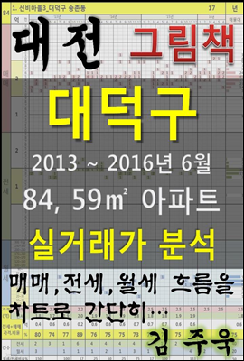 대전 대덕구 84,59㎡ 아파트 매매, 전세, 월세 실거래가 분석 (2013 ~ 2016.6월)