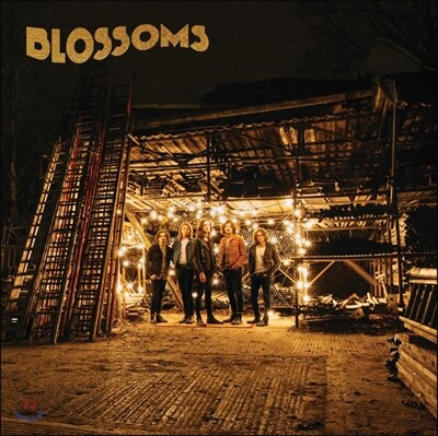 Blossoms (블로섬즈) - Blossoms