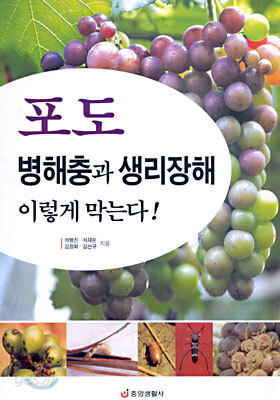 포도 병해충과 생리장해 이렇게 막는다