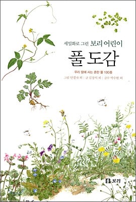 풀 도감: 세밀화로 그린 보리 어린이 도감