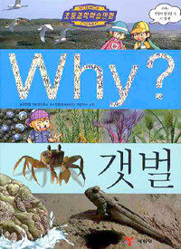 Why? 갯벌 (아동/만화/큰책/양장본/2)