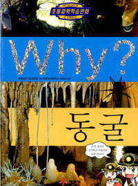 Why? 동굴 (아동/만화/큰책/양장본/2)