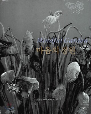 Mindful Garden 마음의 정원