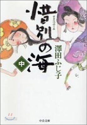 惜別の海(中)