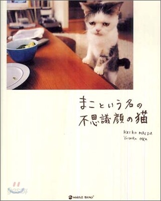 まこという名の不思議顔の猫