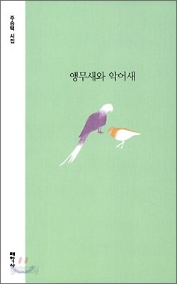 앵무새와 악어새