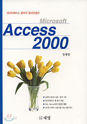 Microsoft Access 2000