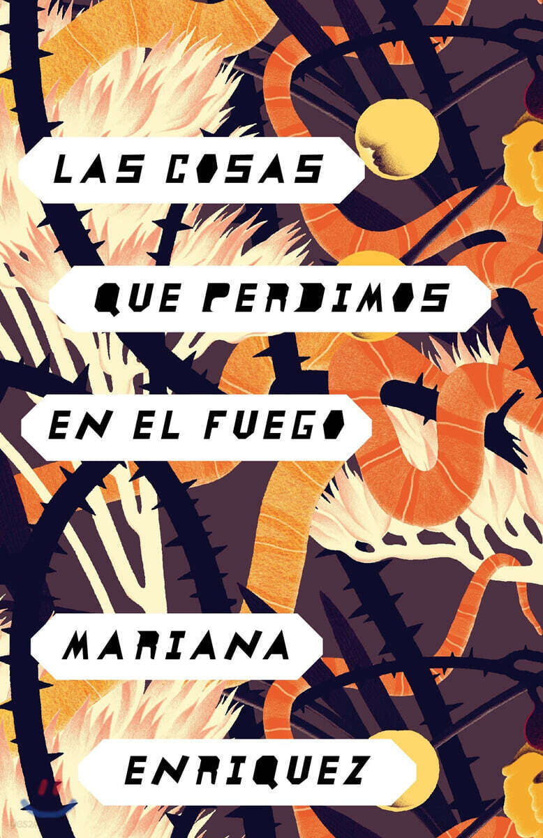 Las Cosas Que Perdimos En El Fuego / Things We Lost in the Fire: Things We Lost in the Fire - Spanish-Language Edition