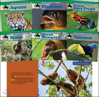 South American Animals (Set)